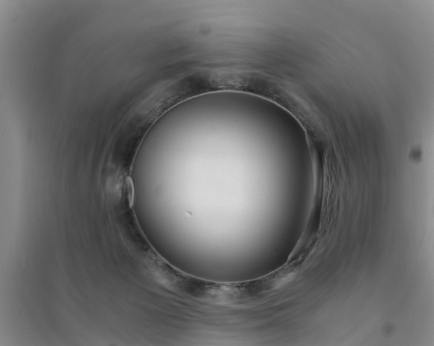 X0000094320125200711091351
