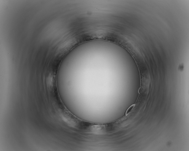 X0000094320126200711091351