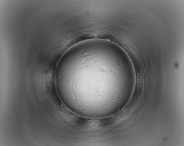 X0000094320127200711091351