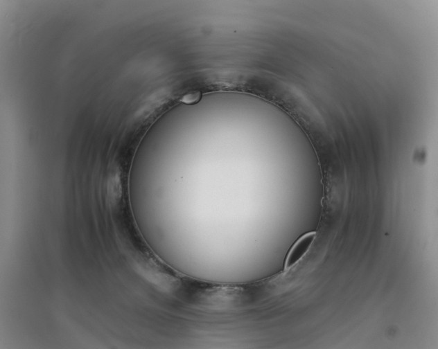 X0000094320128200711091351