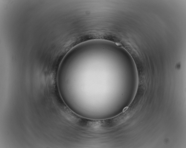 X0000094320131200711091350