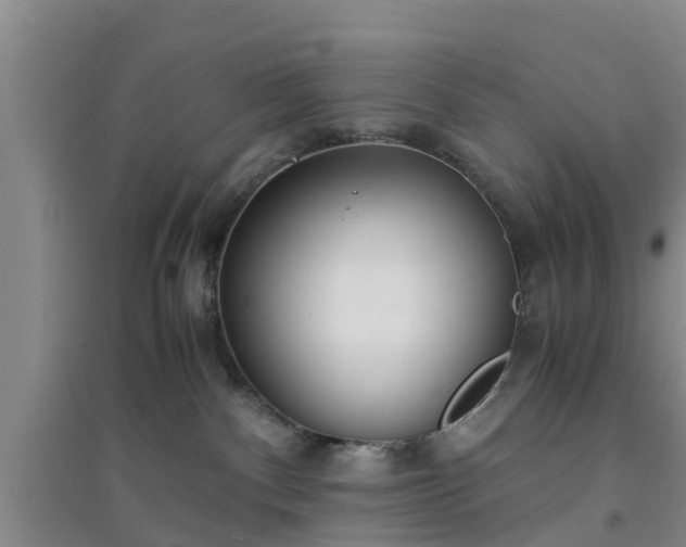X0000094320140200711091350