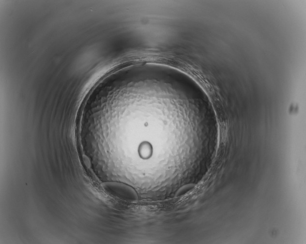 X0000094320147200711091349