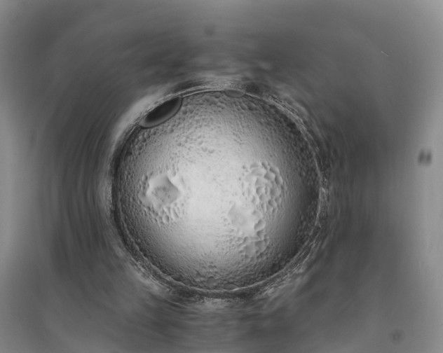 X0000094320149200711091349