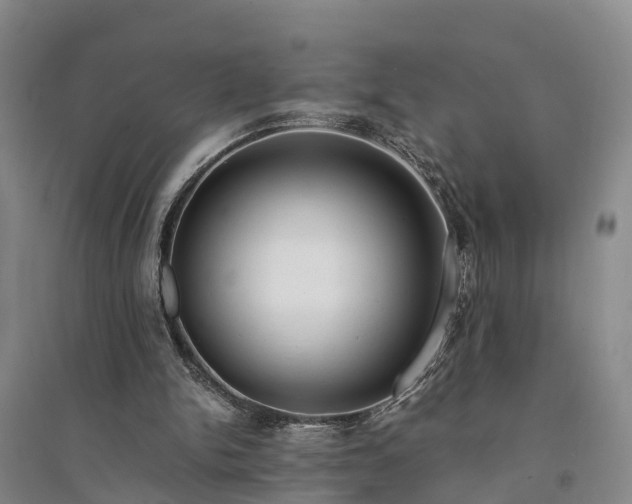 X0000094320150200711091349