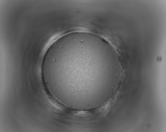X0000094320151200711091349