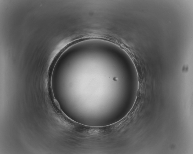 X0000094320152200711091349