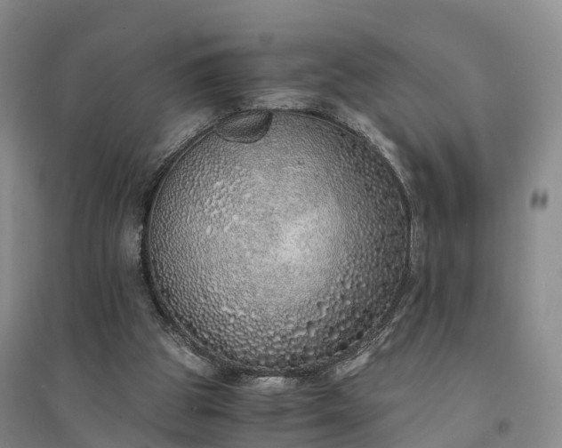 X0000094320153200711091349