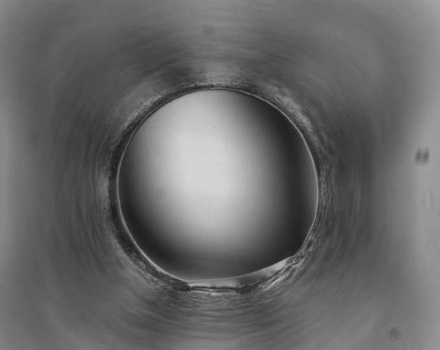 X0000094320154200711091349