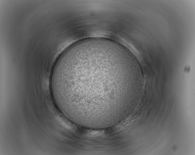 X0000094320155200711091349