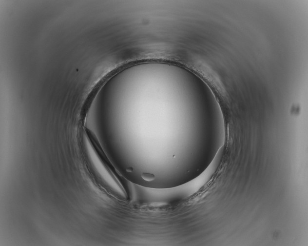 X0000094320156200711091349