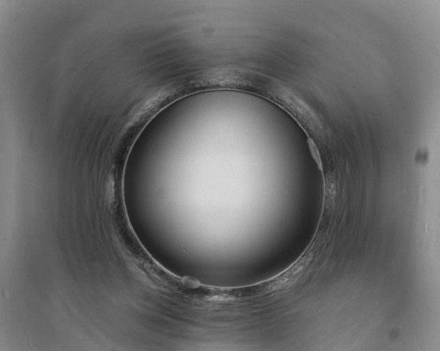 X0000094320158200711091349
