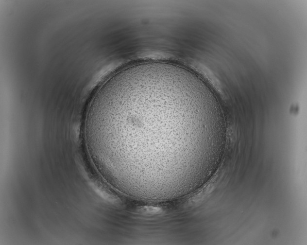X0000094320159200711091349