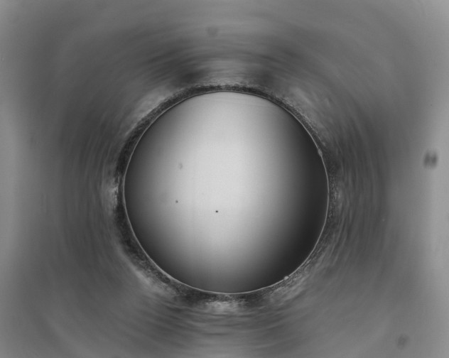 X0000094320160200711091349