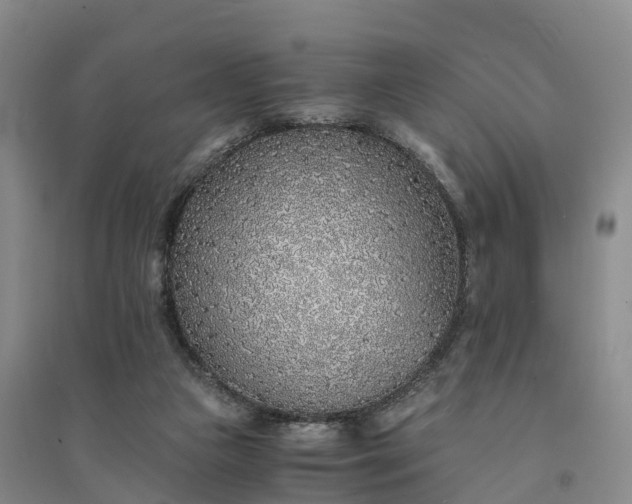 X0000094320161200711091350
