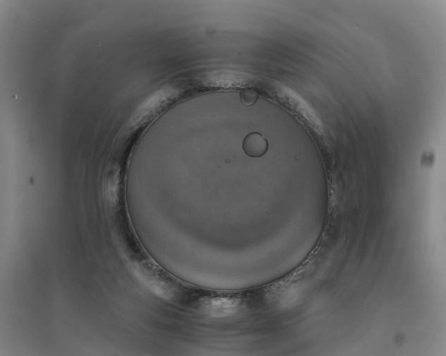 X0000094320163200711091350