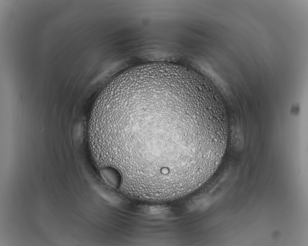 X0000094320165200711091350