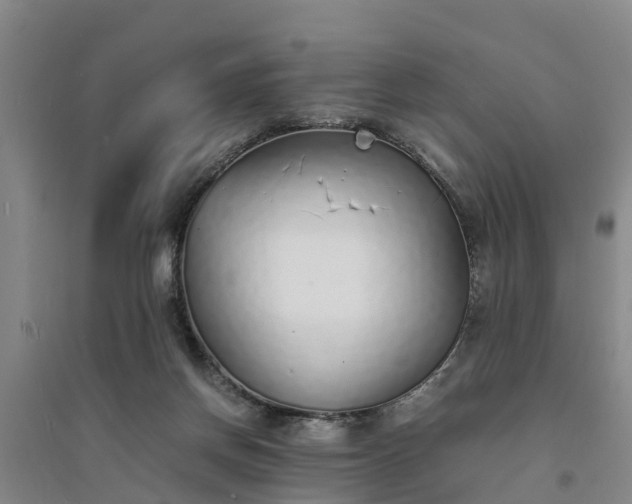 X0000094320166200711091350