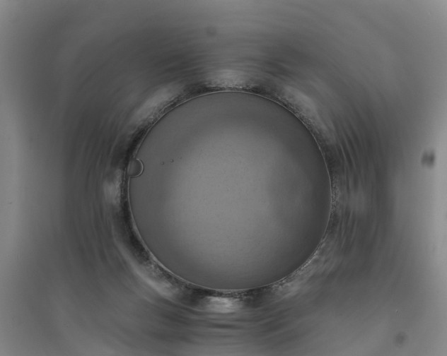X0000094320167200711091350