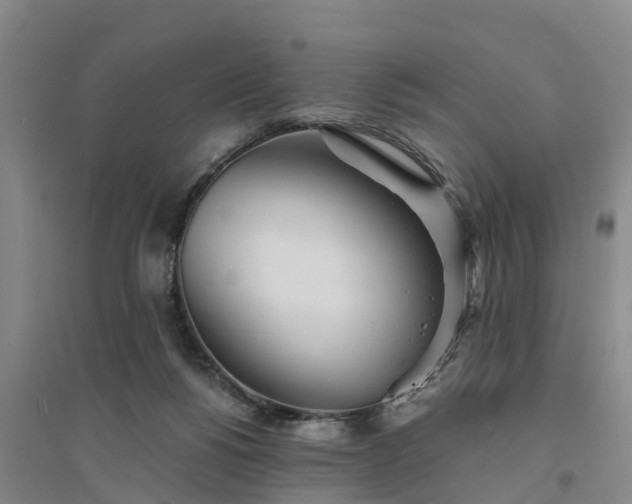 X0000094320168200711091350