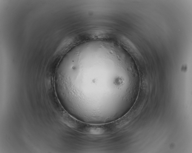 X0000094320169200711091350