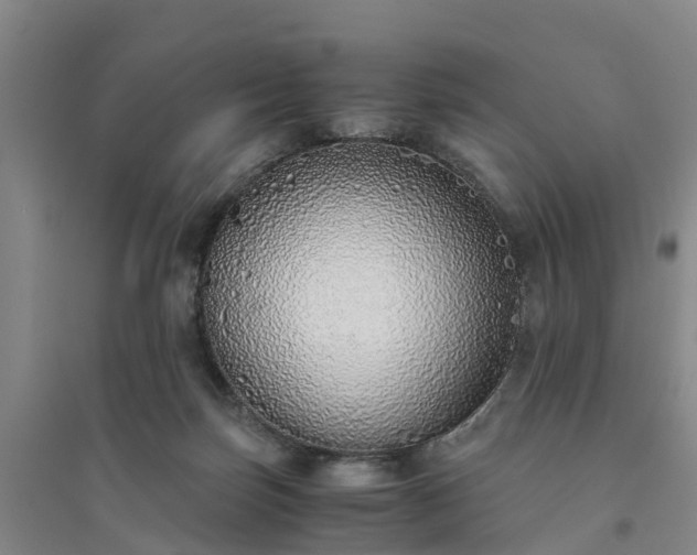 X0000094320171200711091350