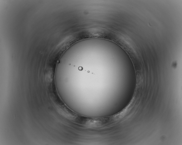 X0000094320174200711091350