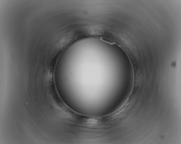 X0000094320176200711091350