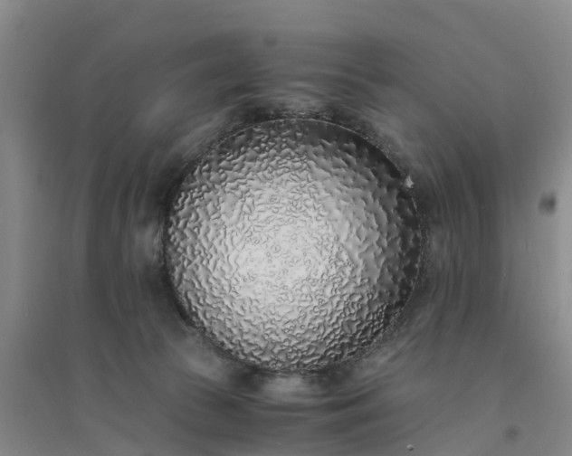 X0000094320177200711091350