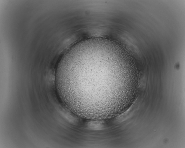 X0000094320179200711091350