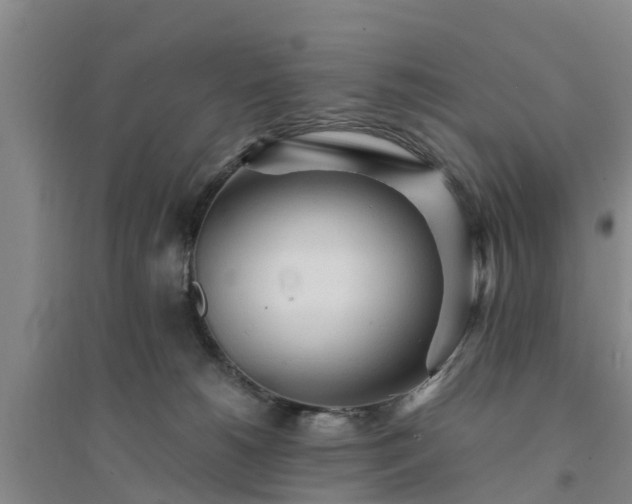 X0000094320180200711091350