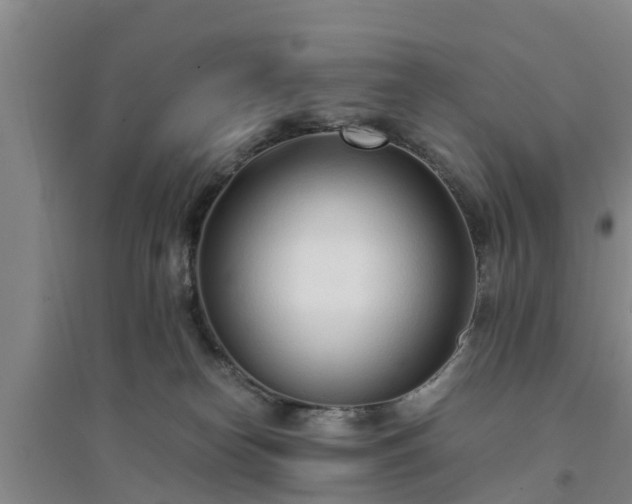X0000094320182200711091350