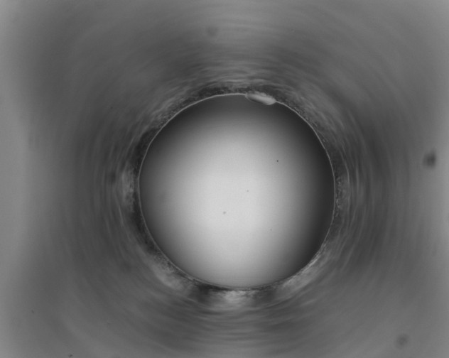X0000094320184200711091350