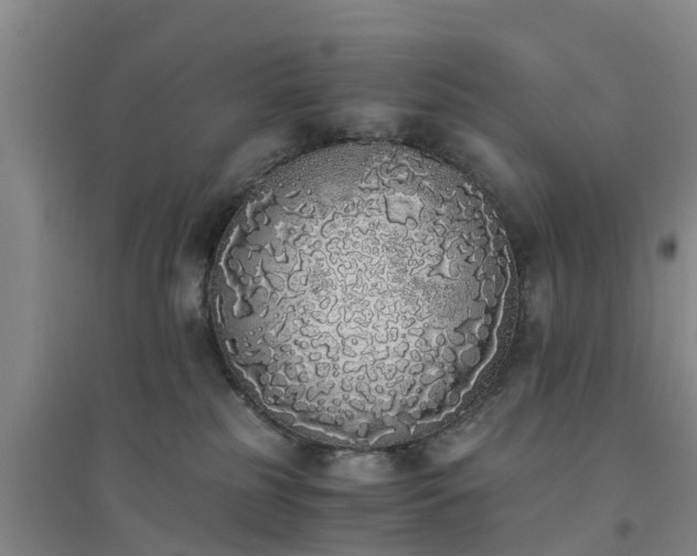 X0000094320185200711091350
