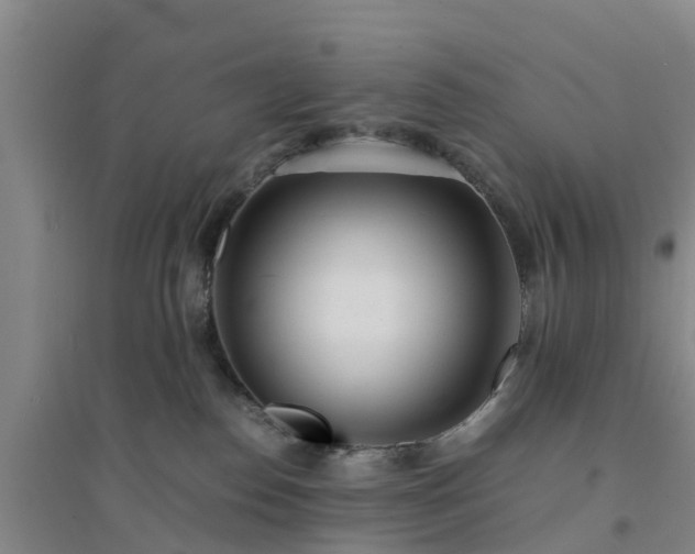 X0000094320186200711091350
