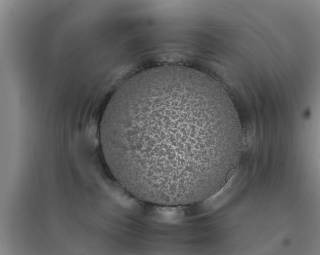 X0000094320187200711091350