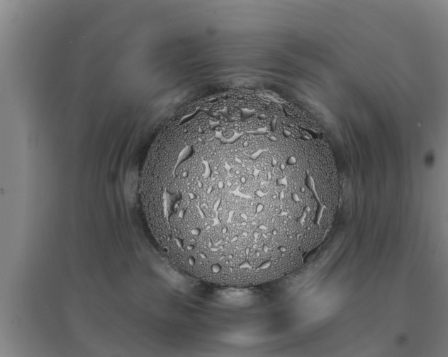 X0000094320189200711091350