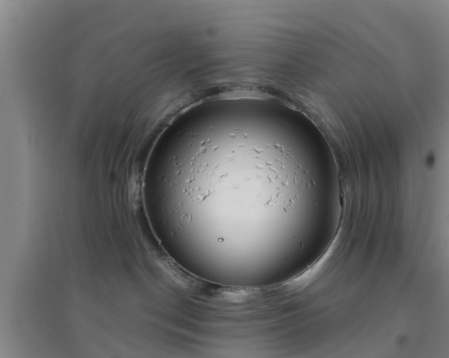 X0000094320190200711091350