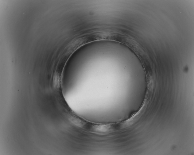 X0000094320191200711091350