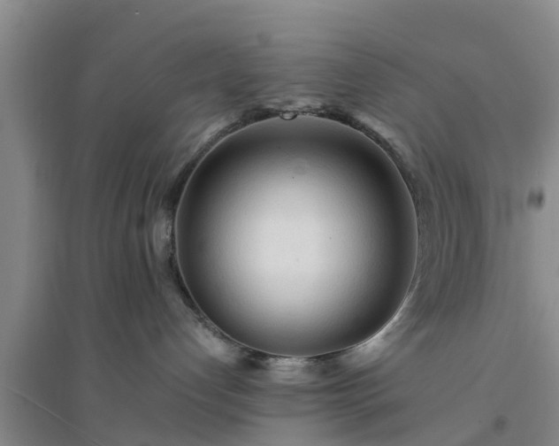 X0000094320192200711091350