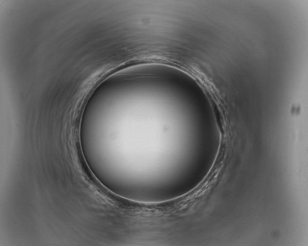 X0000094320193200711091349