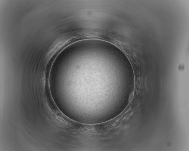 X0000094320194200711091349