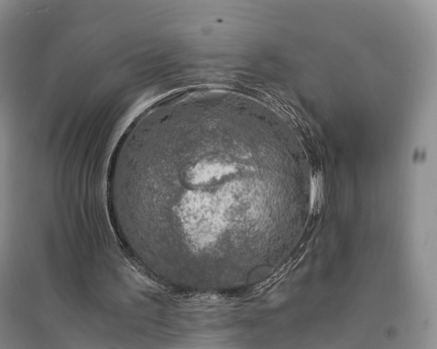 X0000094320195200711091349