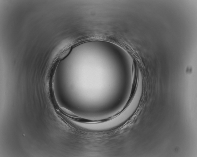 X0000094320197200711091349