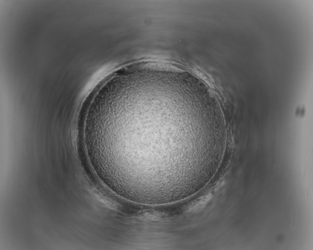 X0000094320199200711091349