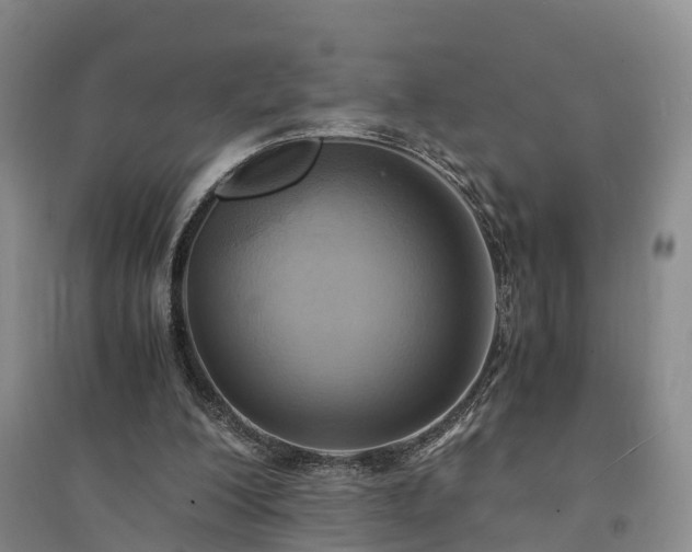 X0000094320200200711091349