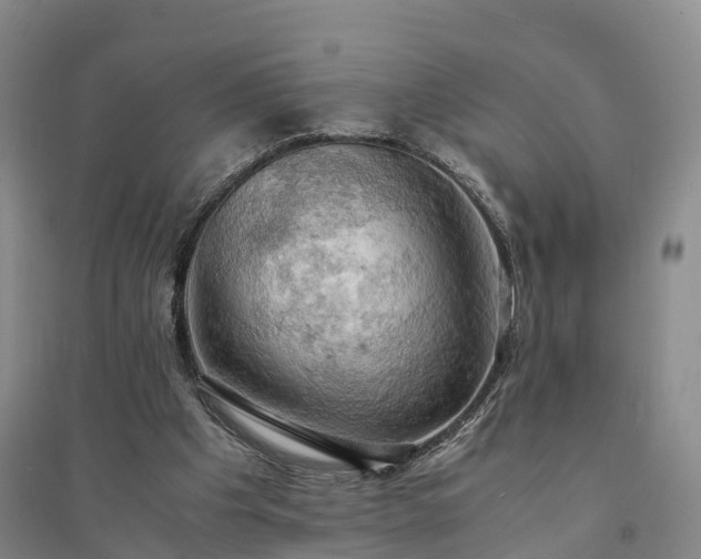 X0000094320201200711091349