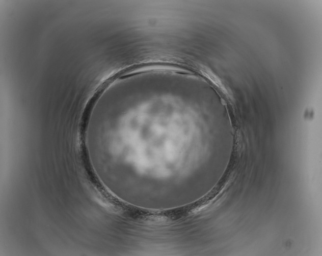 X0000094320203200711091349