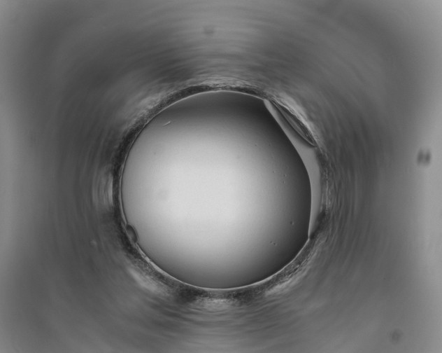 X0000094320205200711091349