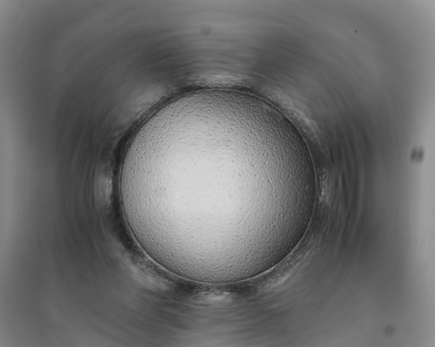 X0000094320206200711091349
